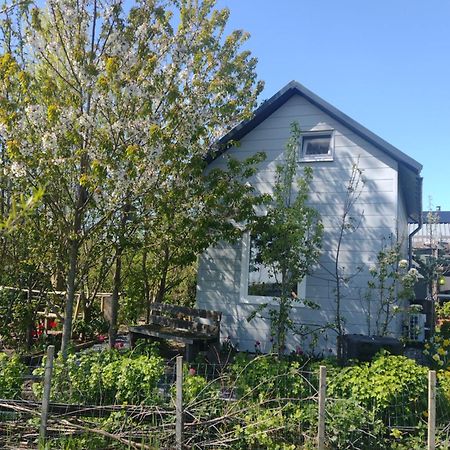 Tuinhuisje In Het Groen Алмере Екстериор снимка